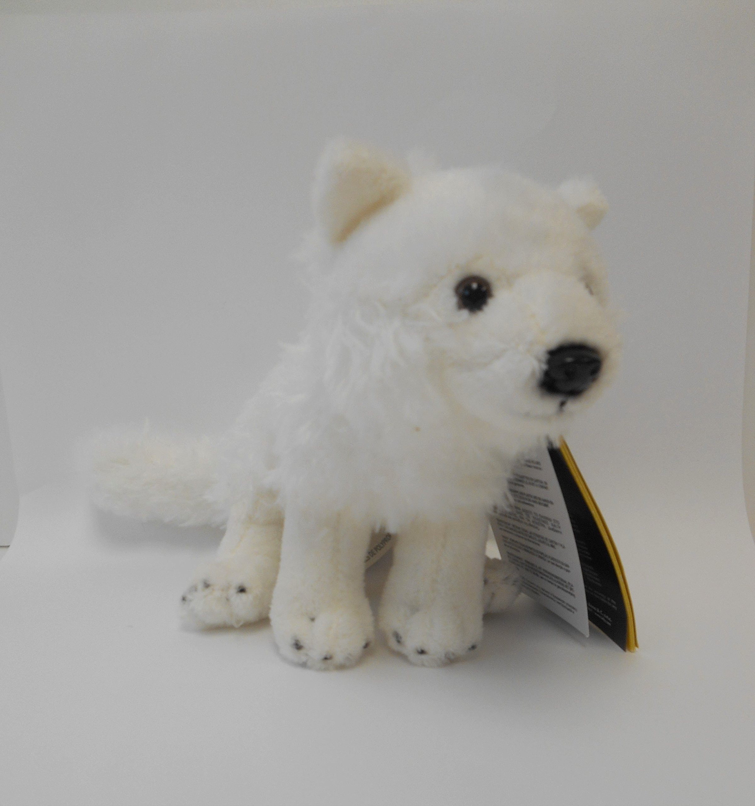 Amazon.co.jp: ナショナルジオグラフィック ぬいぐるみ ホッキョク